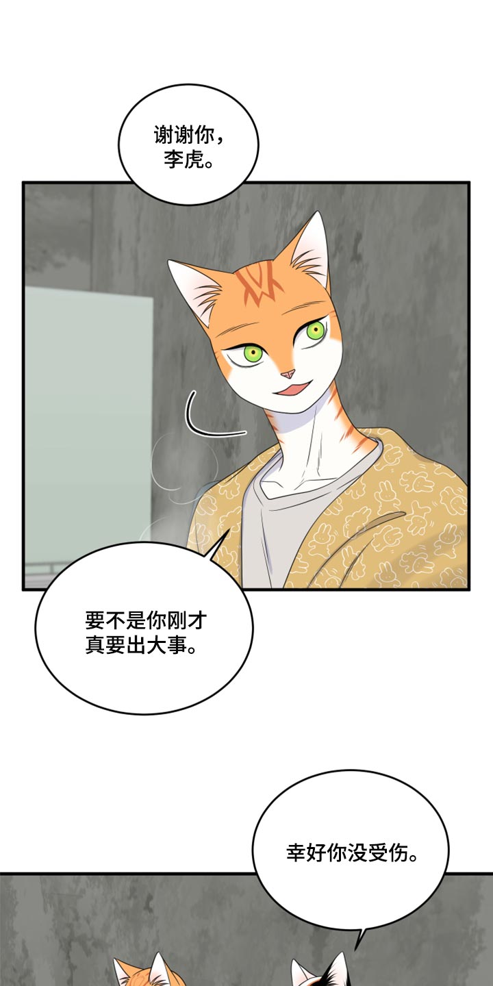 灵猫欧米伽漫画,第89章：【第二季】乱七八糟2图