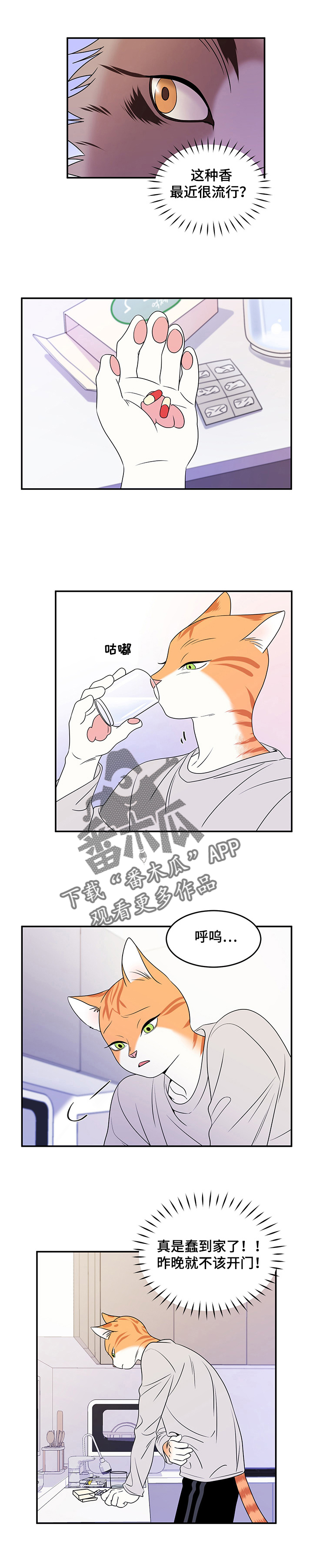 灵猫欧米伽漫画全集免费下拉式漫画,第5章：给我滚1图