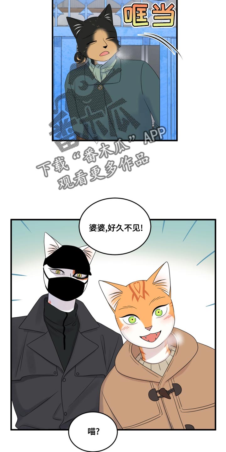 灵猫欧米伽是什么意思漫画,第101章：【第二季】郁闷的心情都消失了1图