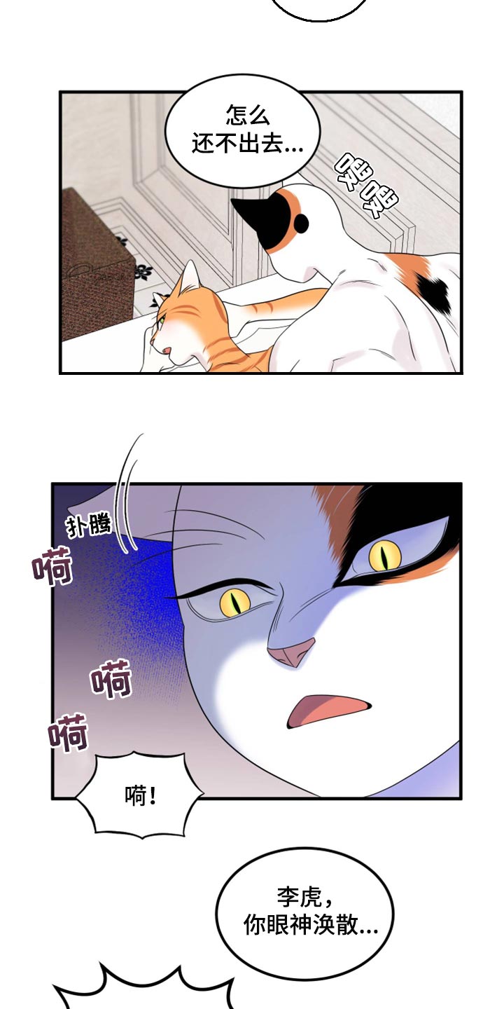 灵猫欧米伽合集漫画,第72章：【第二季】这是折磨啊2图