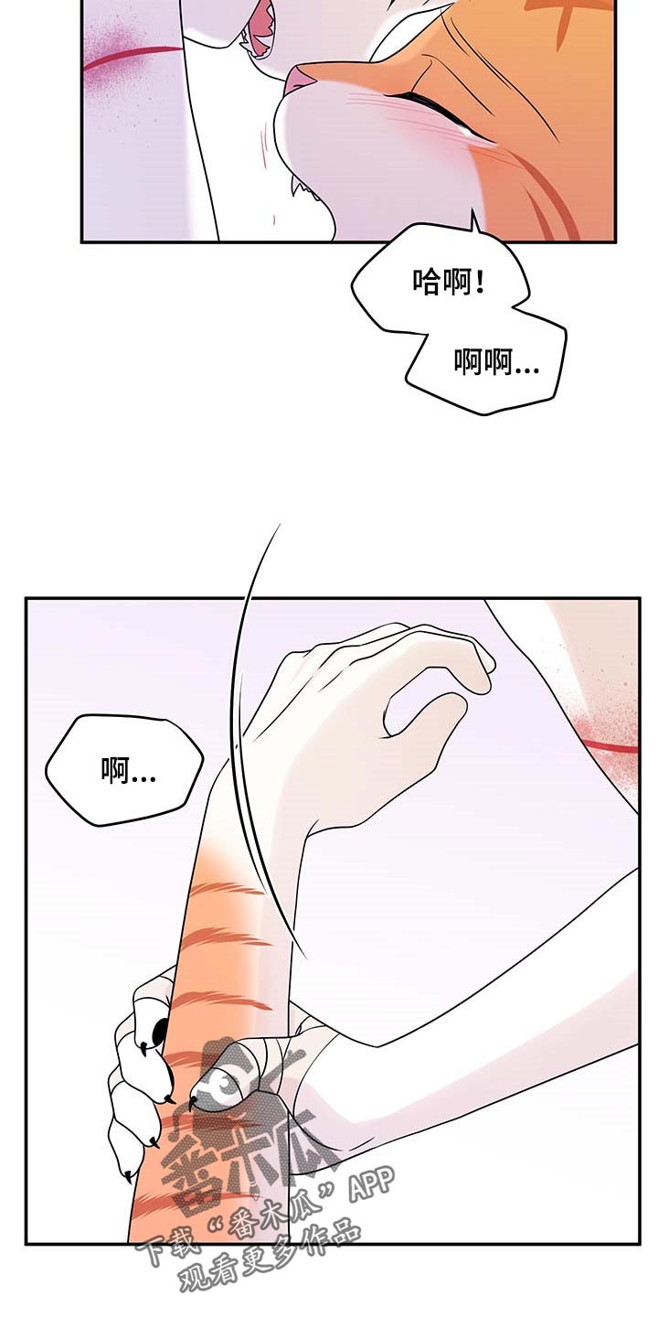 灵猫传陆知也漫画,第47章：好好看着你1图