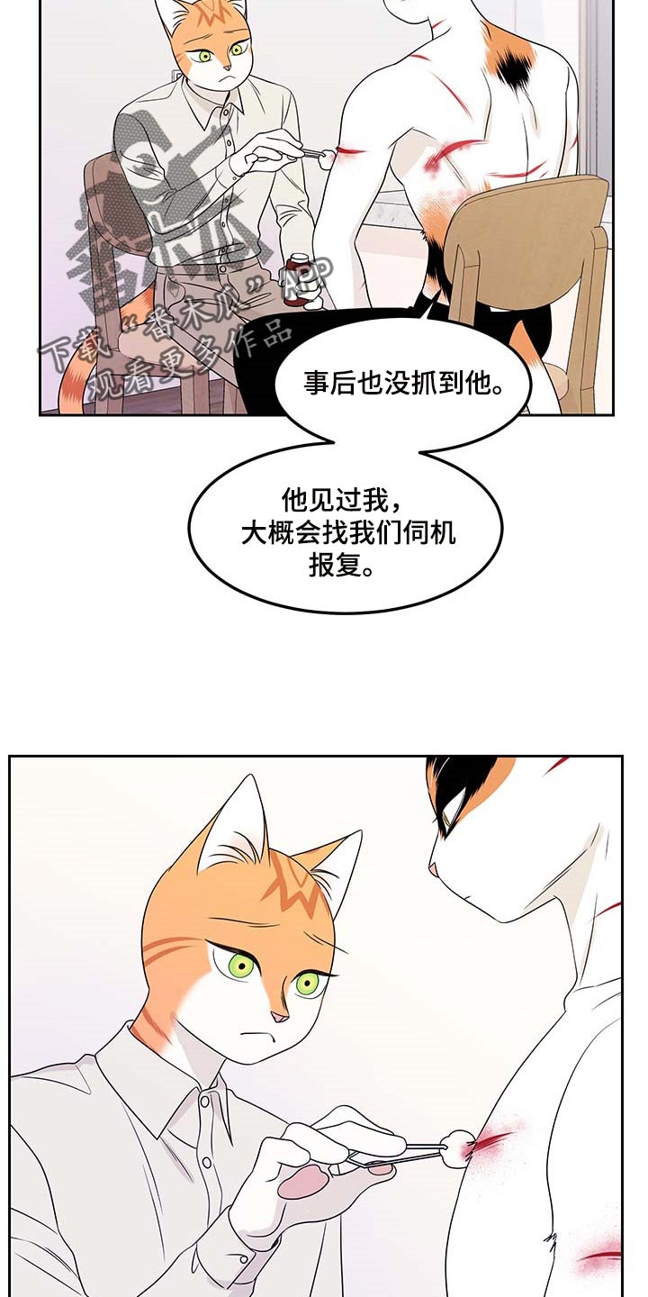 灵猫欧米伽漫画免费观看漫画,第45章：别哭2图