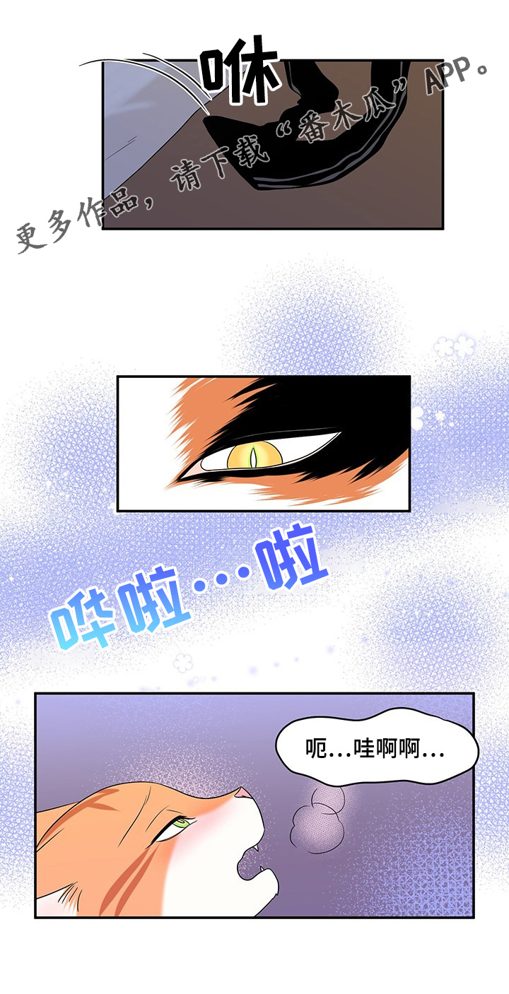 灵猫苏苏漫画,第3章：送抱2图