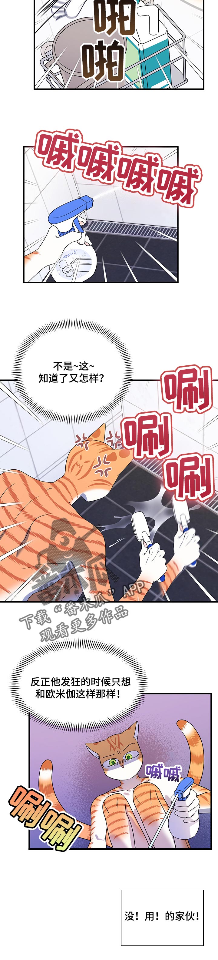 灵猫欧米伽在哪里免费看漫画,第34章：黑名单2图