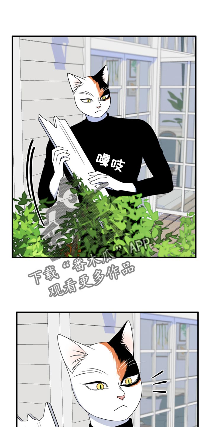 灵猫欧米伽在线观看漫画,第90章：【第二季】想得太乐观1图