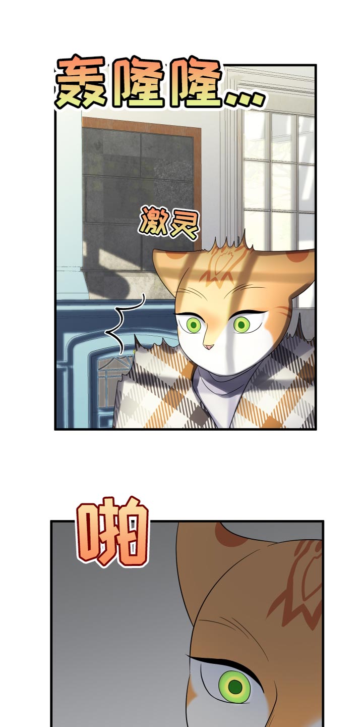 灵猫苏苏漫画,第109章：【第二季】我要回岛上2图