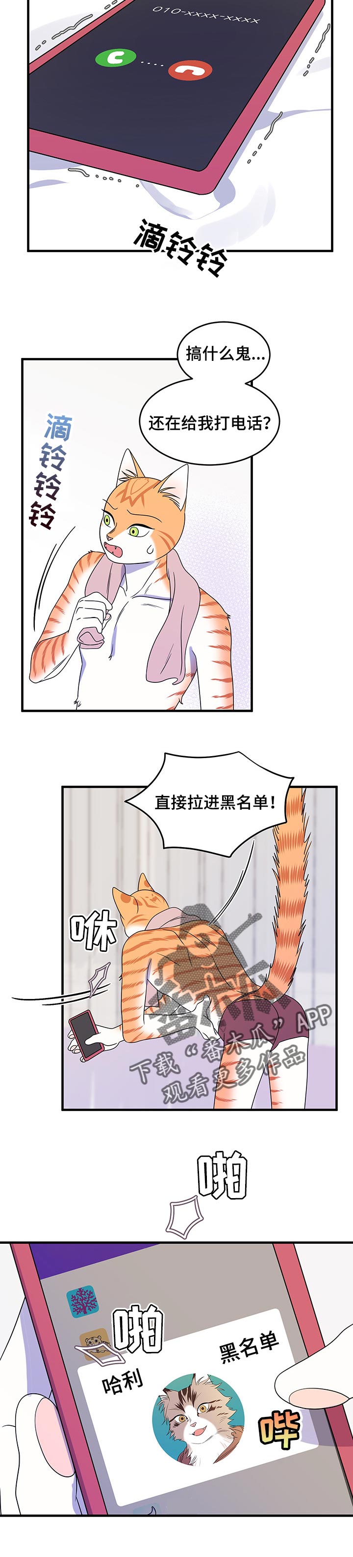 灵猫欧米伽漫画系列漫画,第34章：黑名单1图