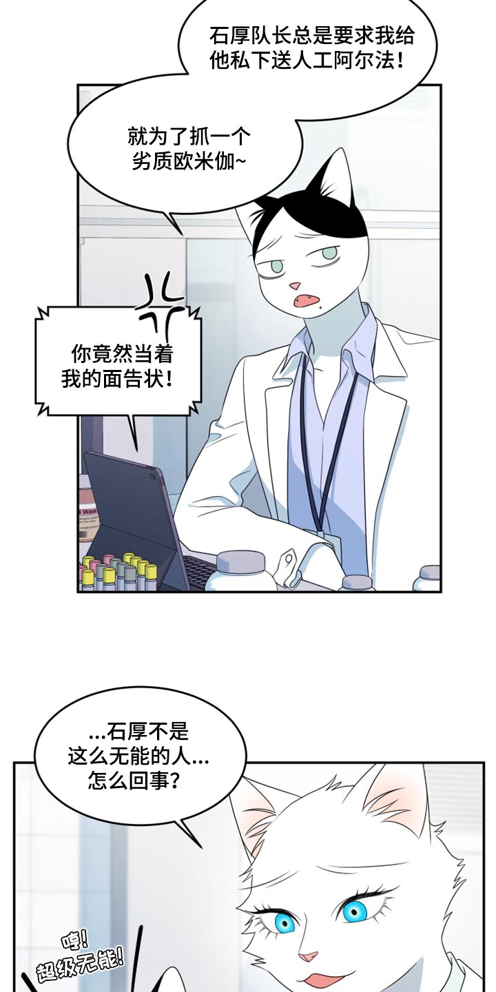 灵猫传汪苏泷漫画,第57章：【第二季】新来的1图