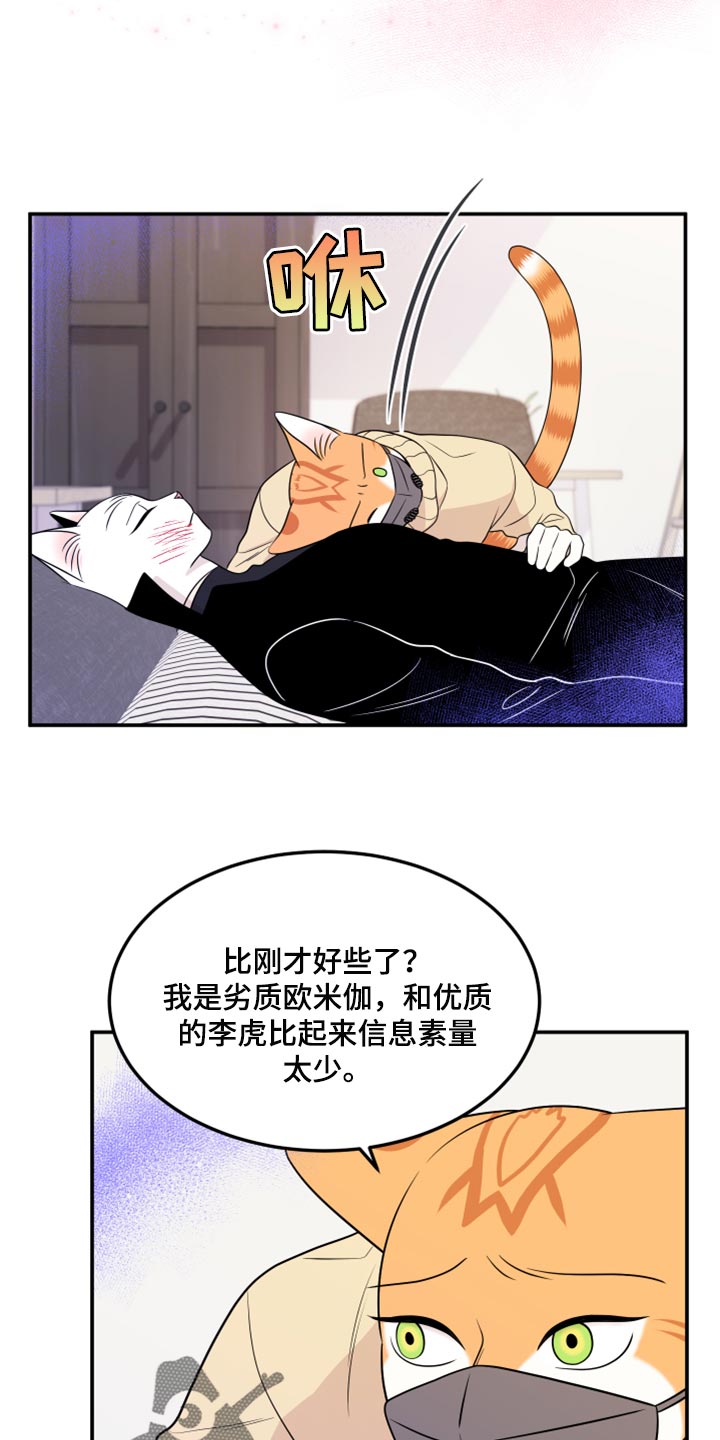 灵猫传汪苏泷漫画,第51章：决定1图