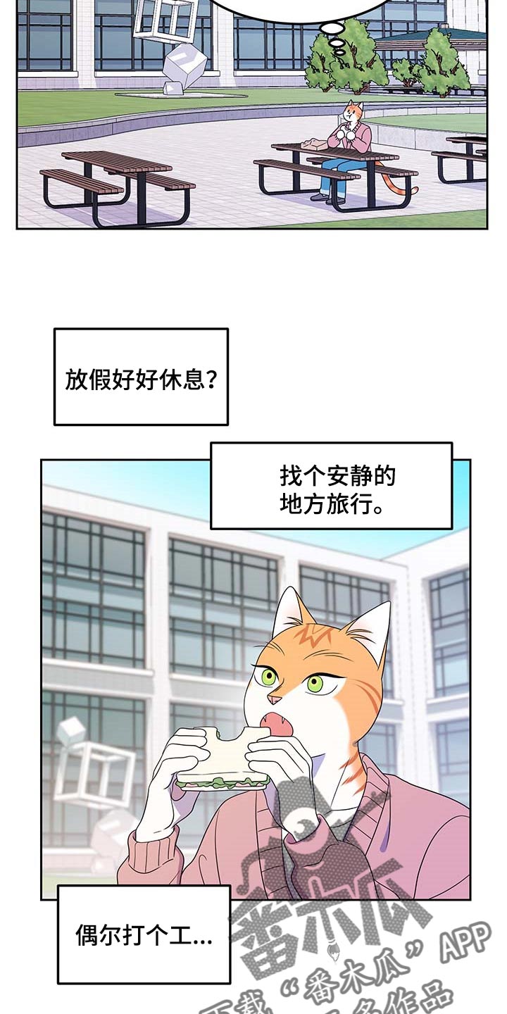 灵猫欧米伽漫画免费漫画,第41章：重新回到平静的生活2图