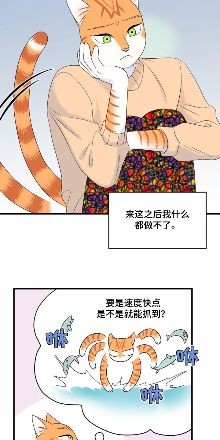 灵猫欧米伽漫画作者漫画,第68章：【第二季】狩猎本能1图