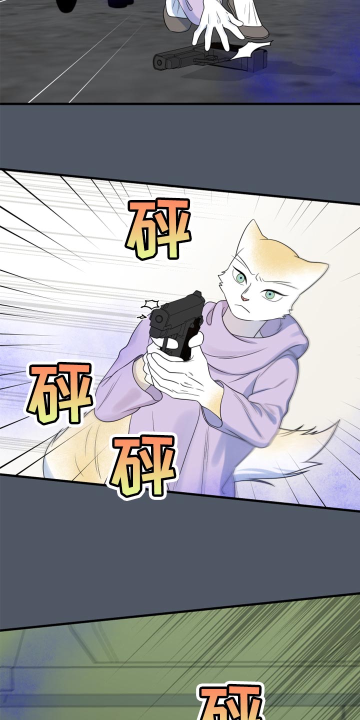 灵猫是什么动物漫画,第84章：【第二季】爆炸1图