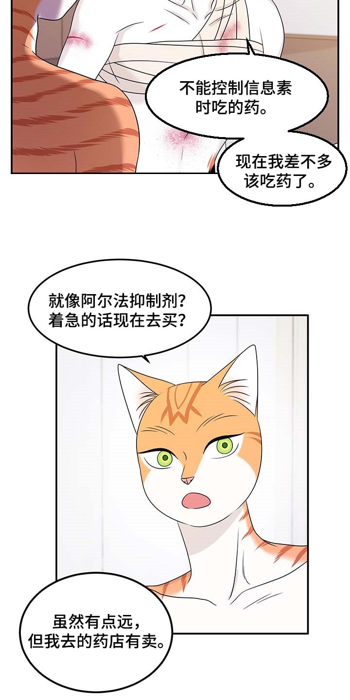 灵猫欧米伽漫画免费观看漫画,第48章：你慢慢考虑2图