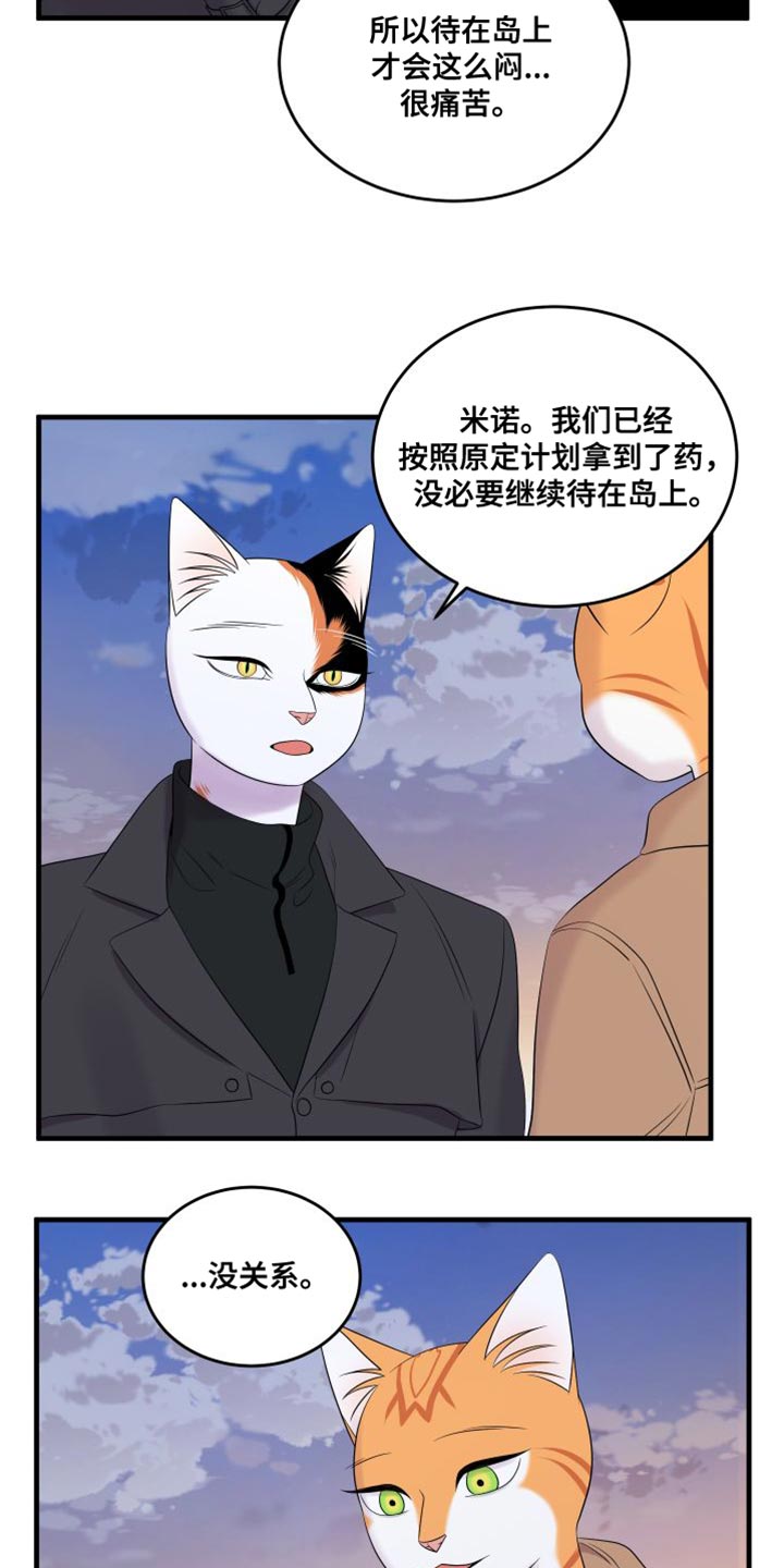 灵猫传攻略漫画,第104章：【第二季】更重要的事2图