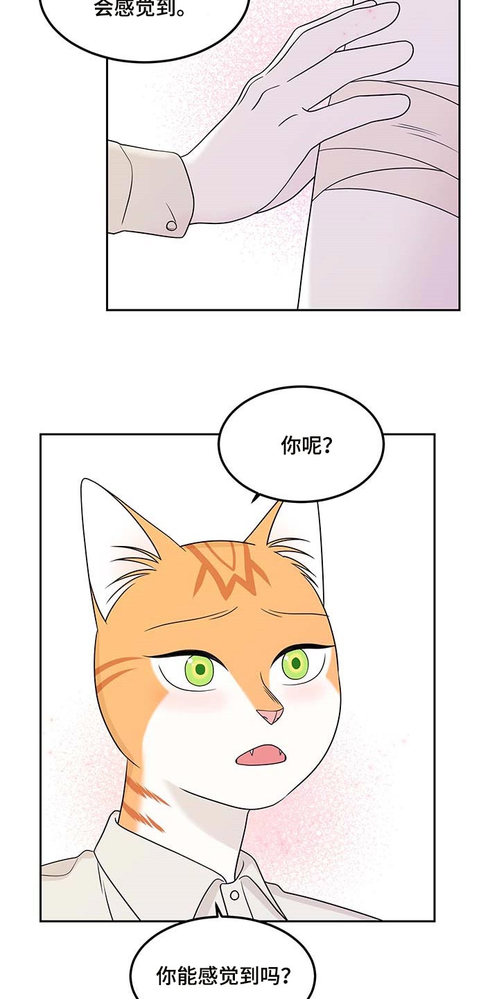 灵猫欧米伽漫画下拉漫画,第46章：征服1图