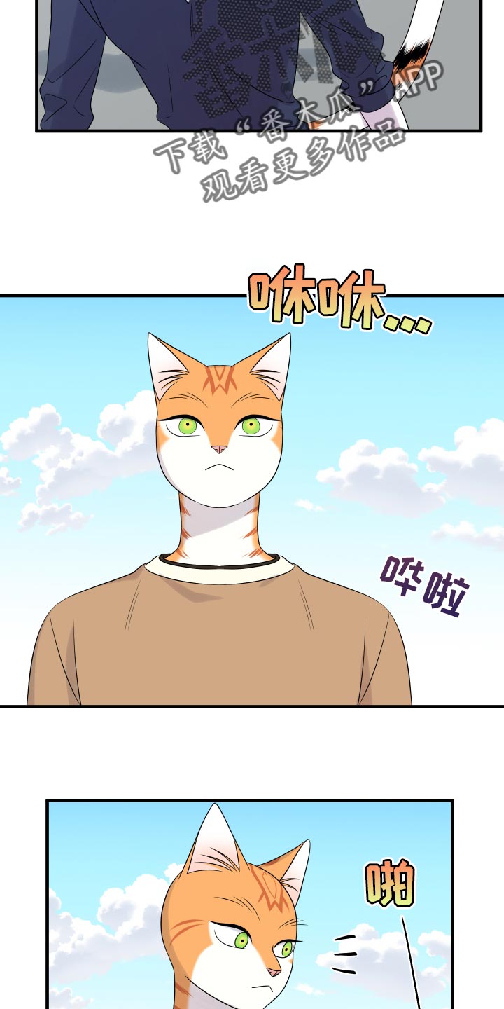 灵猫欧米伽完整版漫画,第96章：【第二季】海浪声好吵2图