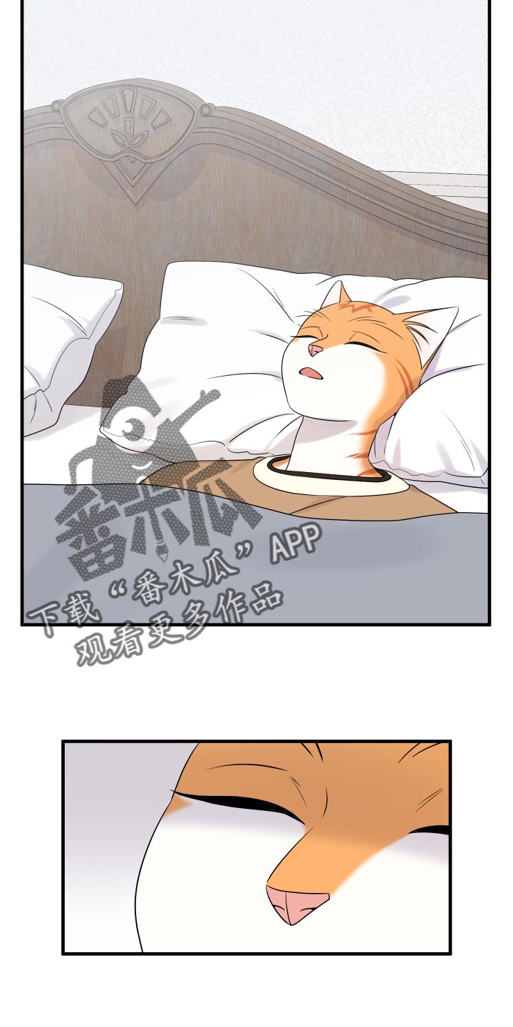 灵猫传歌曲漫画,第97章：【第二季】噩梦2图