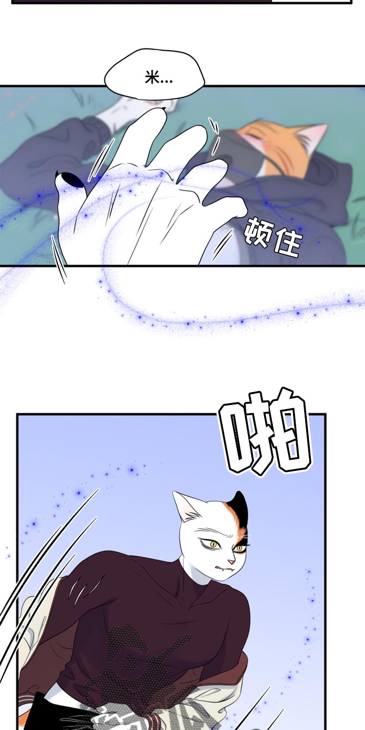 灵猫欧米伽第三季156章漫画,第65章：【第二季】你到底在想什么？2图