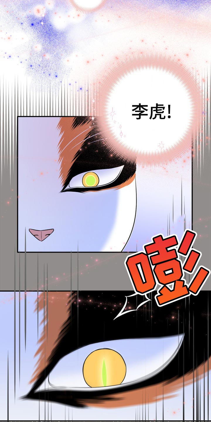 灵猫欧米伽什么时候更新第三季漫画,第64章：【第二季】恢复意识1图