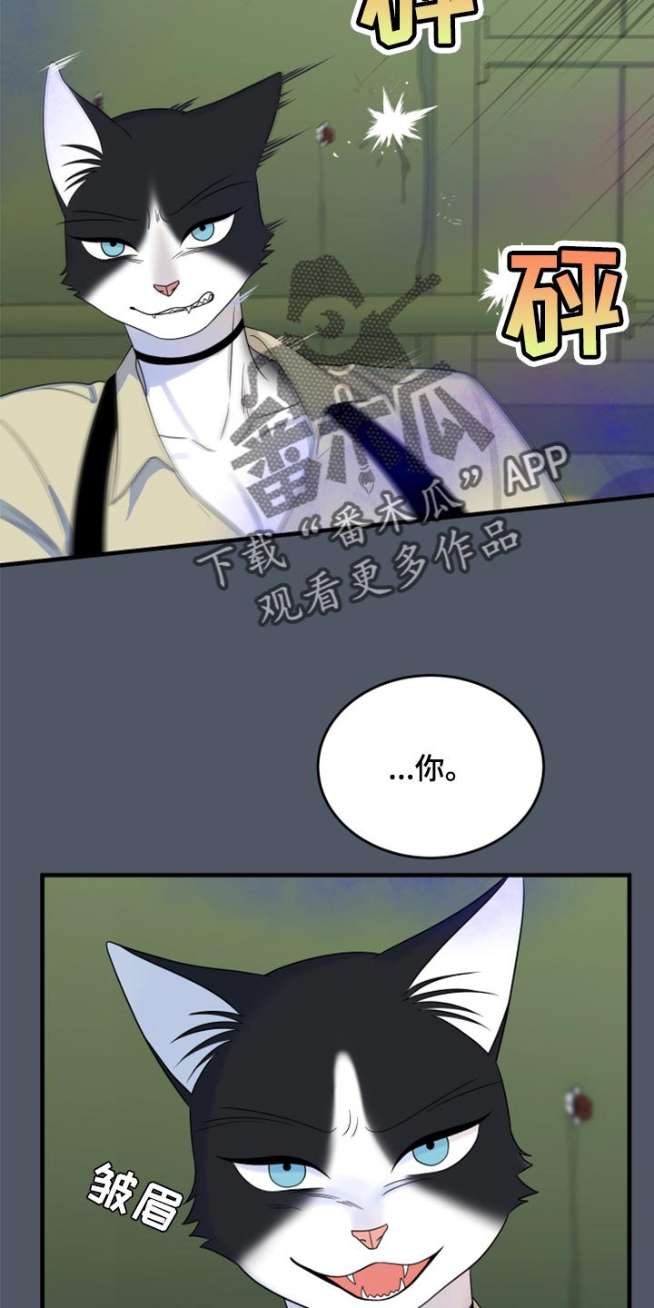 灵猫是什么动物漫画,第84章：【第二季】爆炸2图