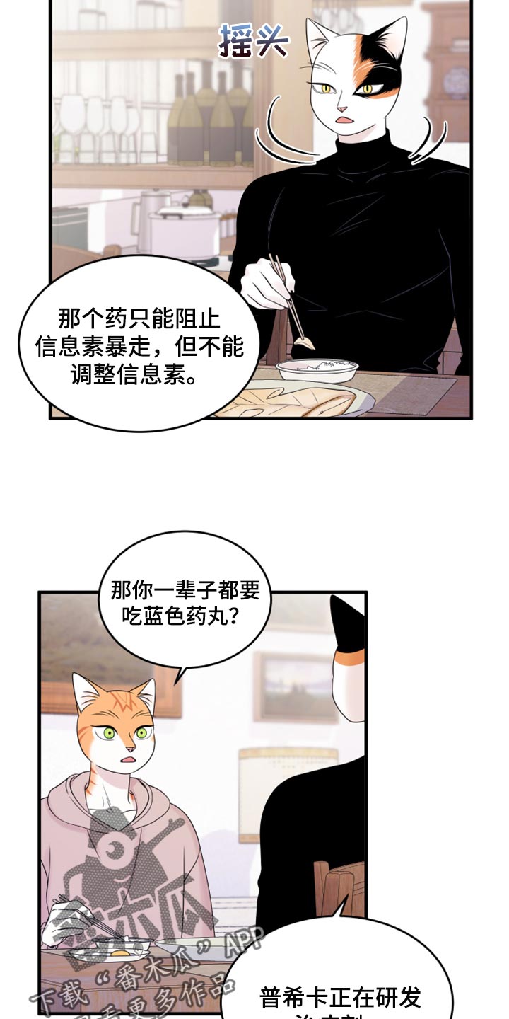 omega猫漫画,第73章：【第二季】绑架灵猫2图