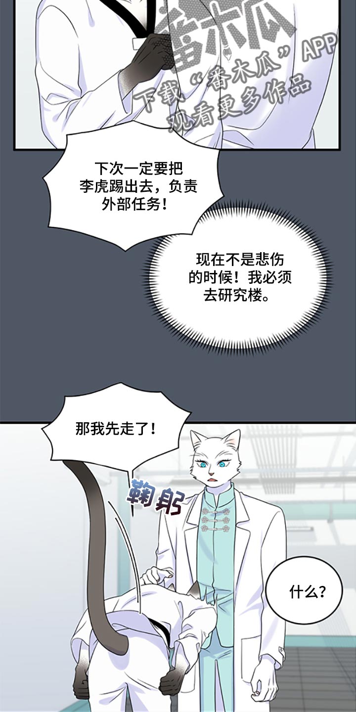 灵猫欧米伽漫画全集免费观看漫画,第78章：【第二季】优点也是弱点2图