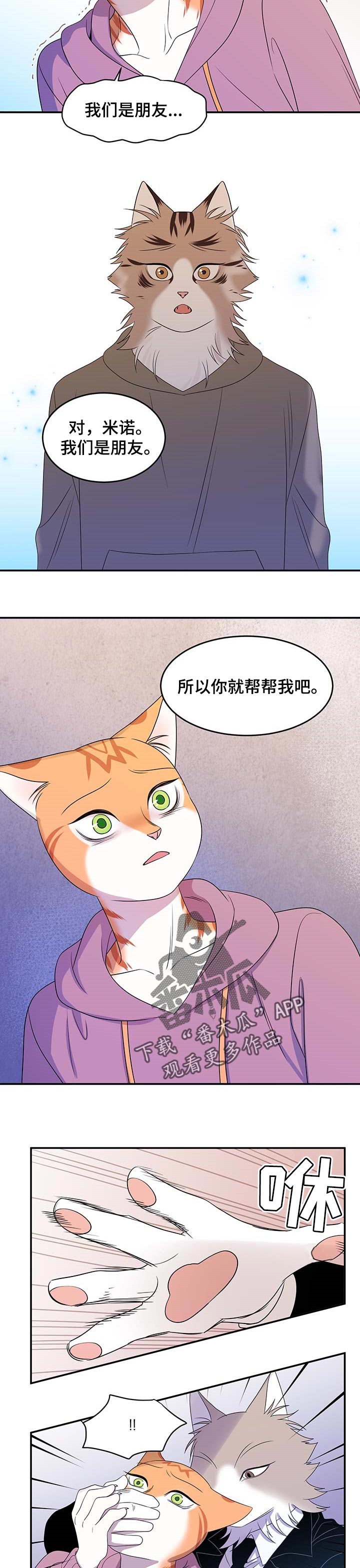 灵猫欧米伽漫画在哪里看漫画,第27章：绑架2图