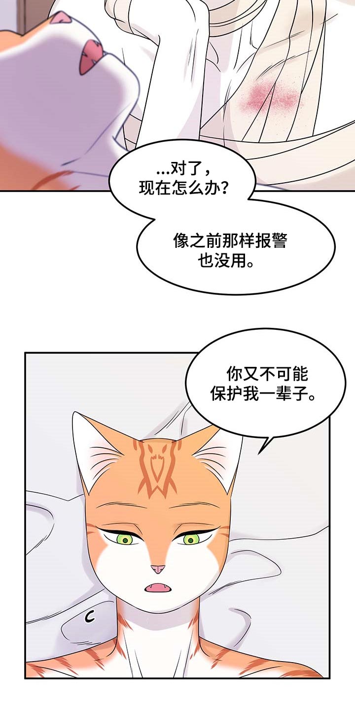 灵猫科和猫科的区别漫画,第48章：你慢慢考虑2图