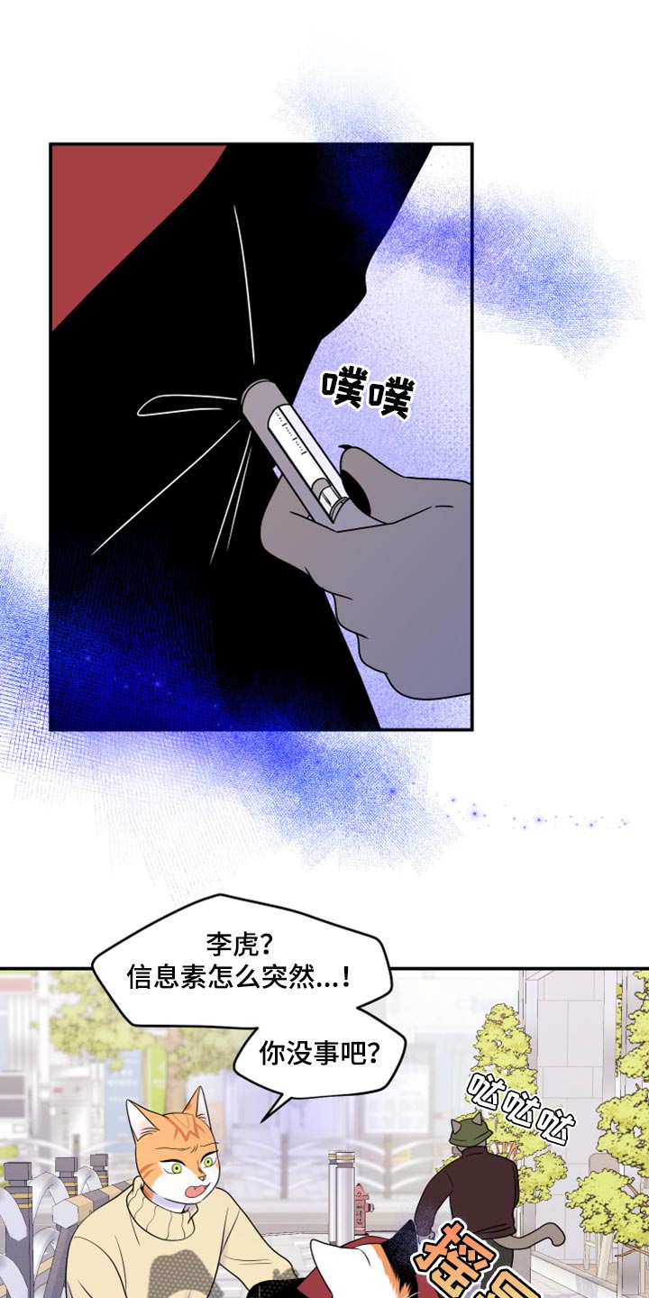 灵猫欧米伽漫蛙叫什么漫画,第49章：让我保护你1图