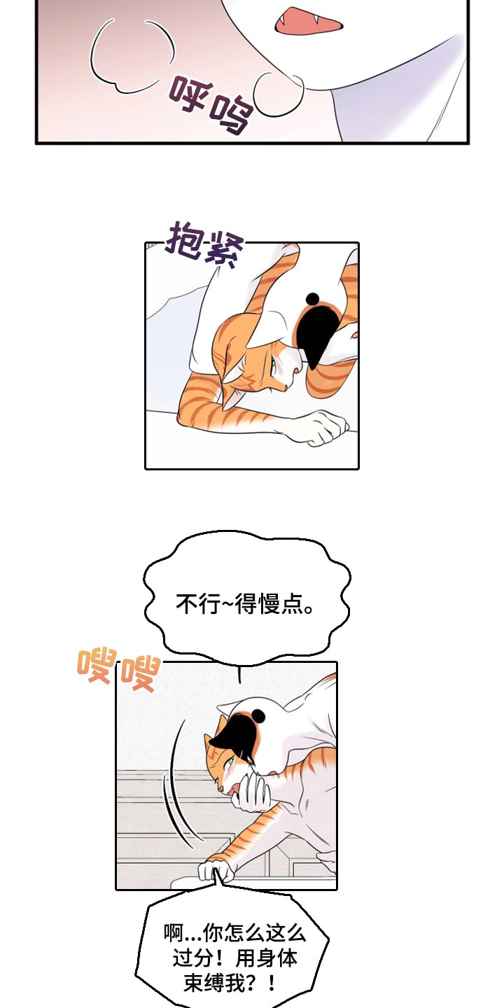 灵猫欧米伽漫画,第72章：【第二季】这是折磨啊2图
