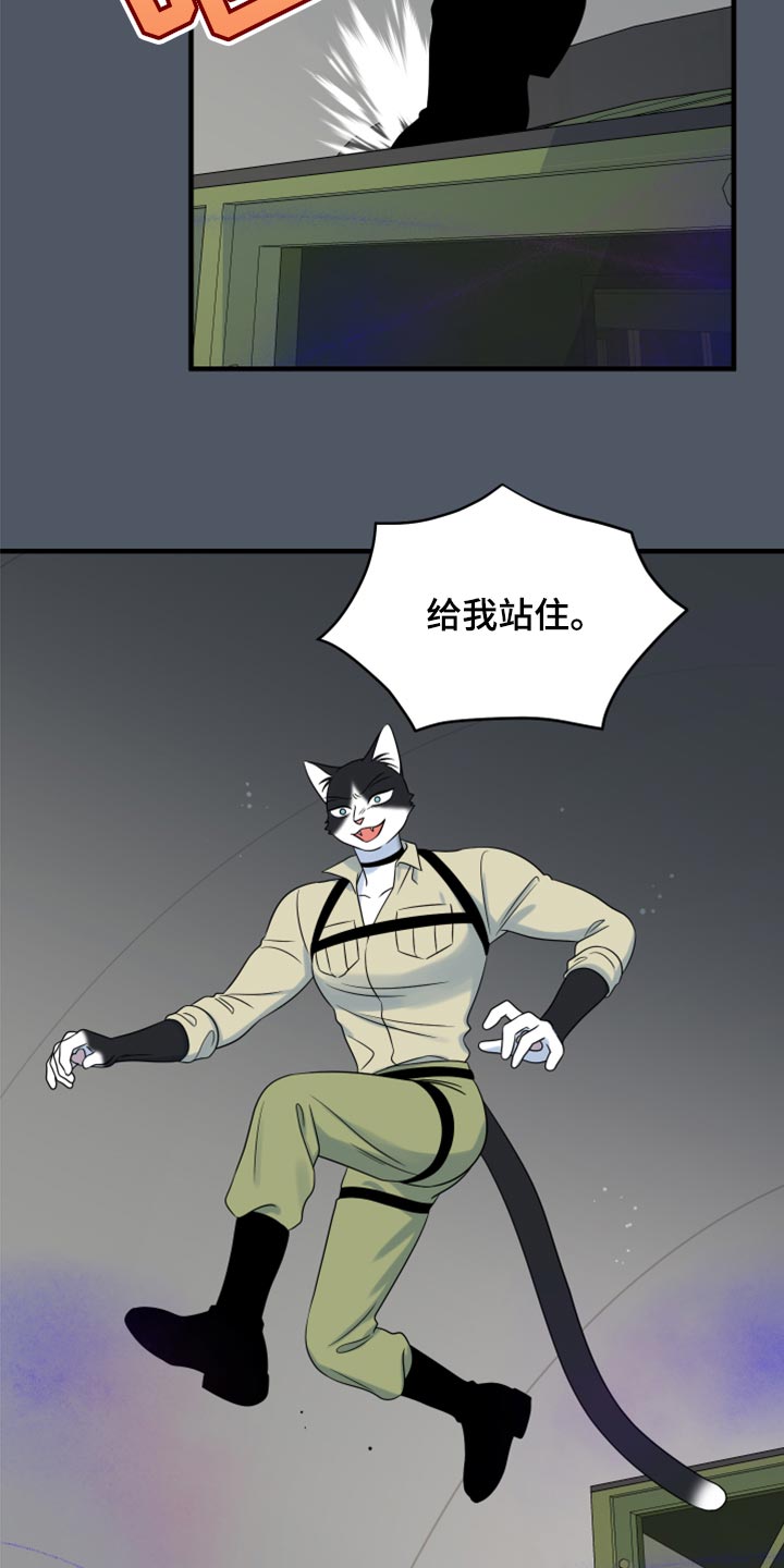 灵猫欧米伽免费漫画,第83章：【第二季】捕猎2图