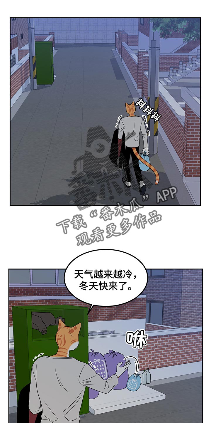 灵猫欧米伽漫画全集免费观看漫画,第43章：世道不太平1图