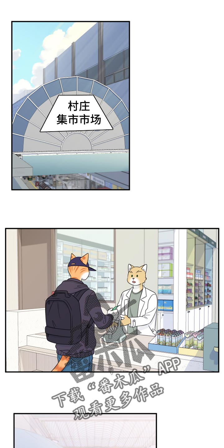 灵猫欧米伽免费阅读漫画,第56章：【第二季】人工阿尔法1图