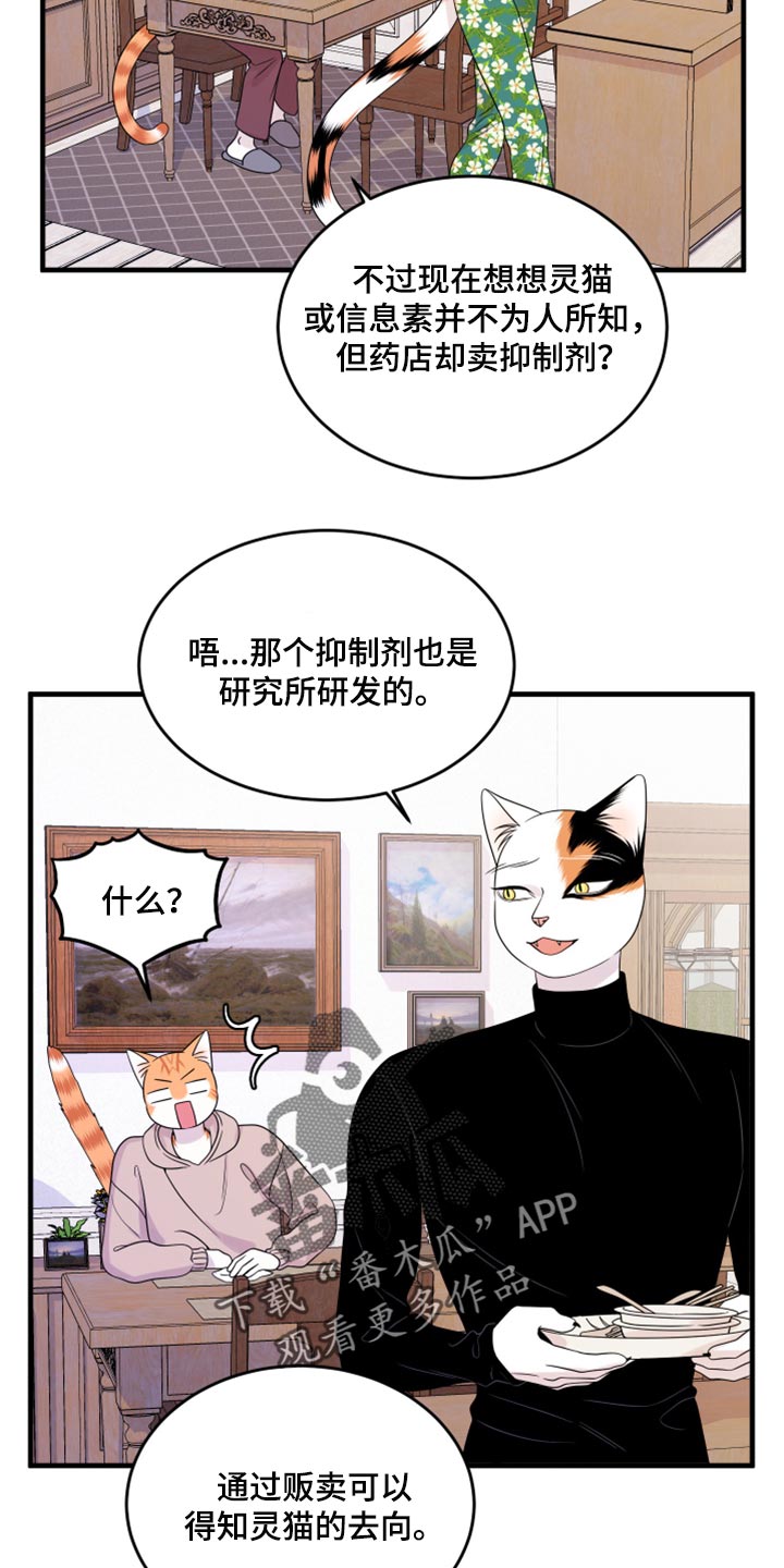 灵猫欧米伽在哪里免费看漫画,第74章：【第二季】妙鱼钥匙扣1图