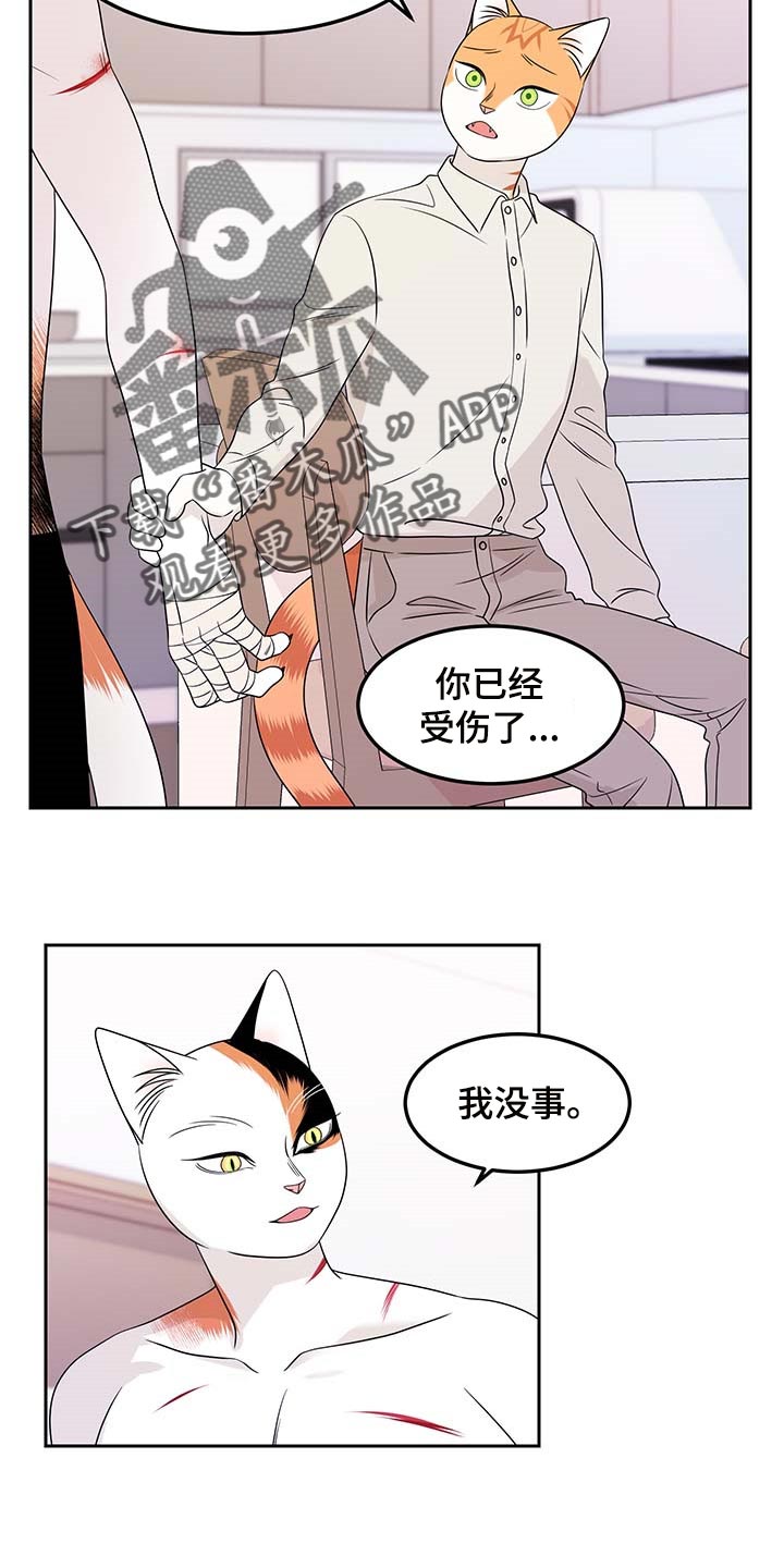 灵猫欧米伽漫画免费漫画,第45章：别哭2图