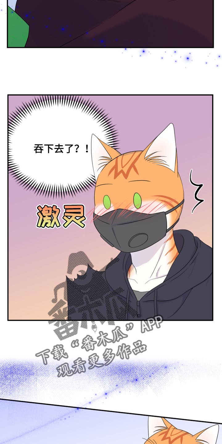 灵猫欧米伽什么时候更新漫画,第63章：【第二季】眼睛还是没变1图