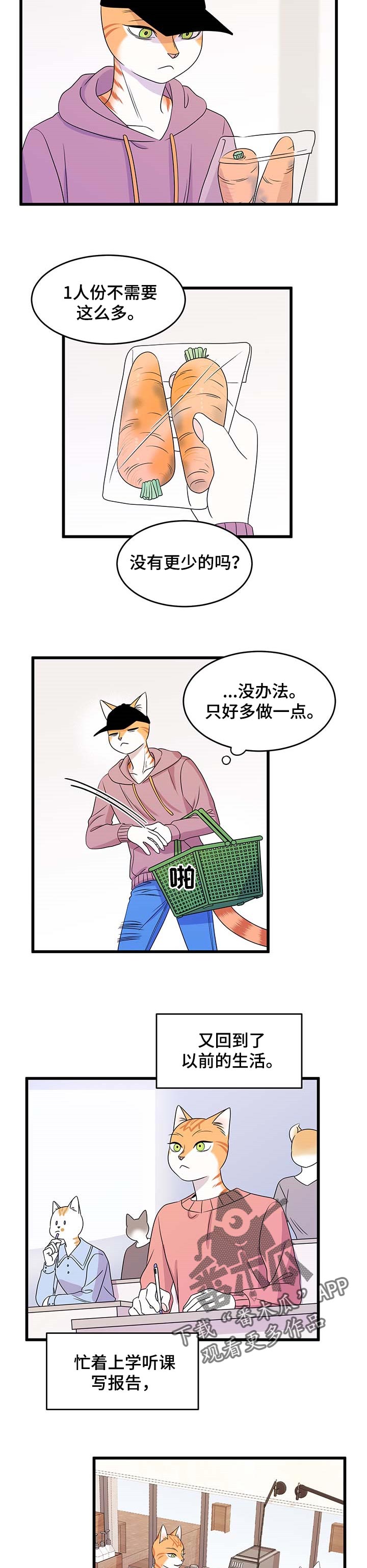 灵猫欧米伽免费阅读漫画,第26章：心痛2图