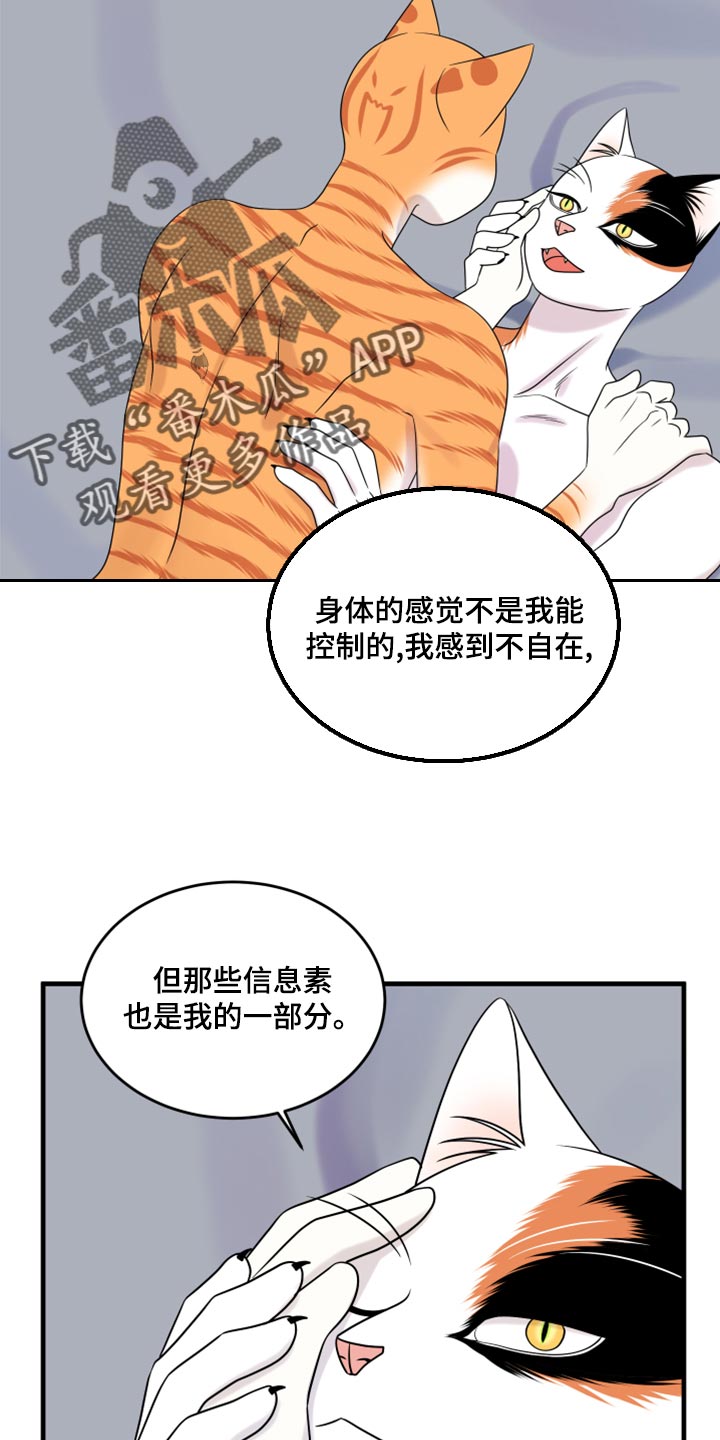 灵猫欧米伽2漫画,第92章：【第二季】改变的勇气2图