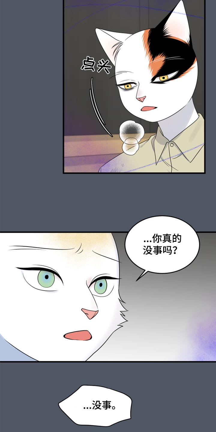 灵猫苏苏漫画,第83章：【第二季】捕猎2图