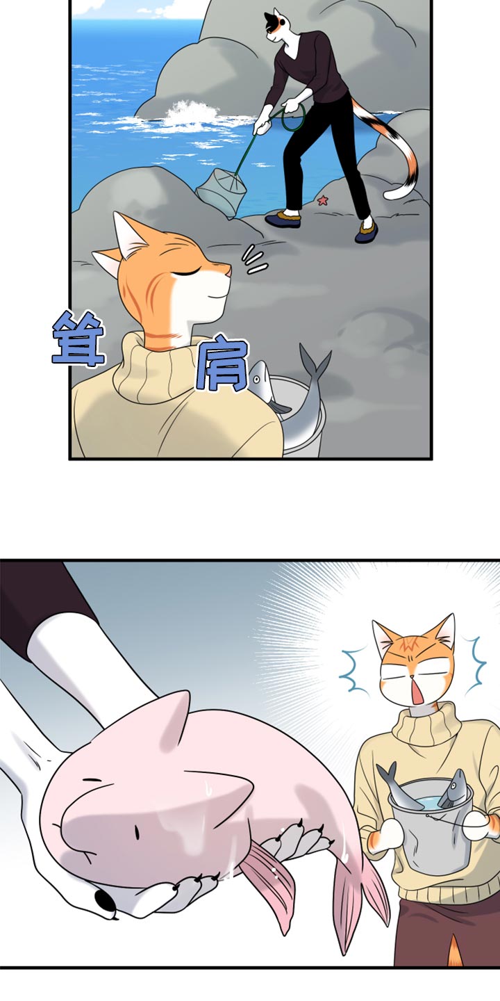 灵猫欧米伽漫画,第87章：【第二季】学习防身术2图