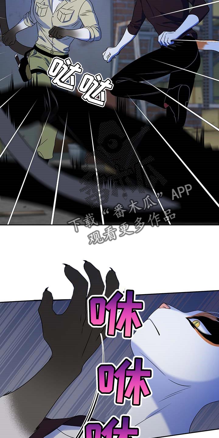 灵猫小说漫画,第39章：撤离2图