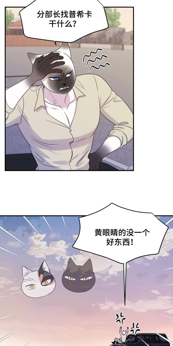 灵猫传歌曲漫画,第58章：【第二季】总有一天会回来2图