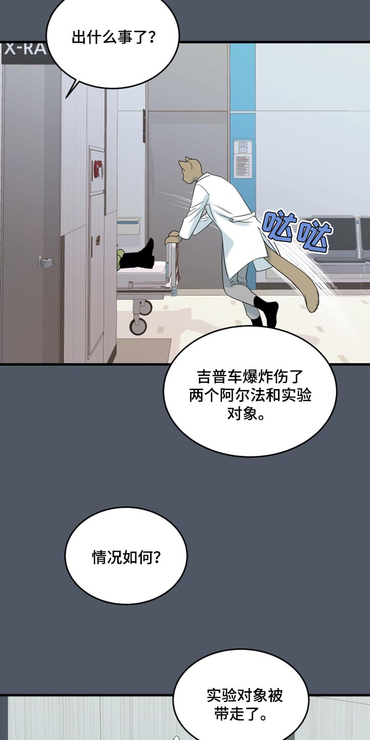 灵猫欧米伽漫蛙叫什么漫画,第85章：【第二季】失控2图