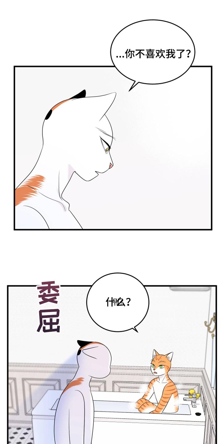 灵猫欧米伽是什么意思漫画,第71章：【第二季】撒娇2图