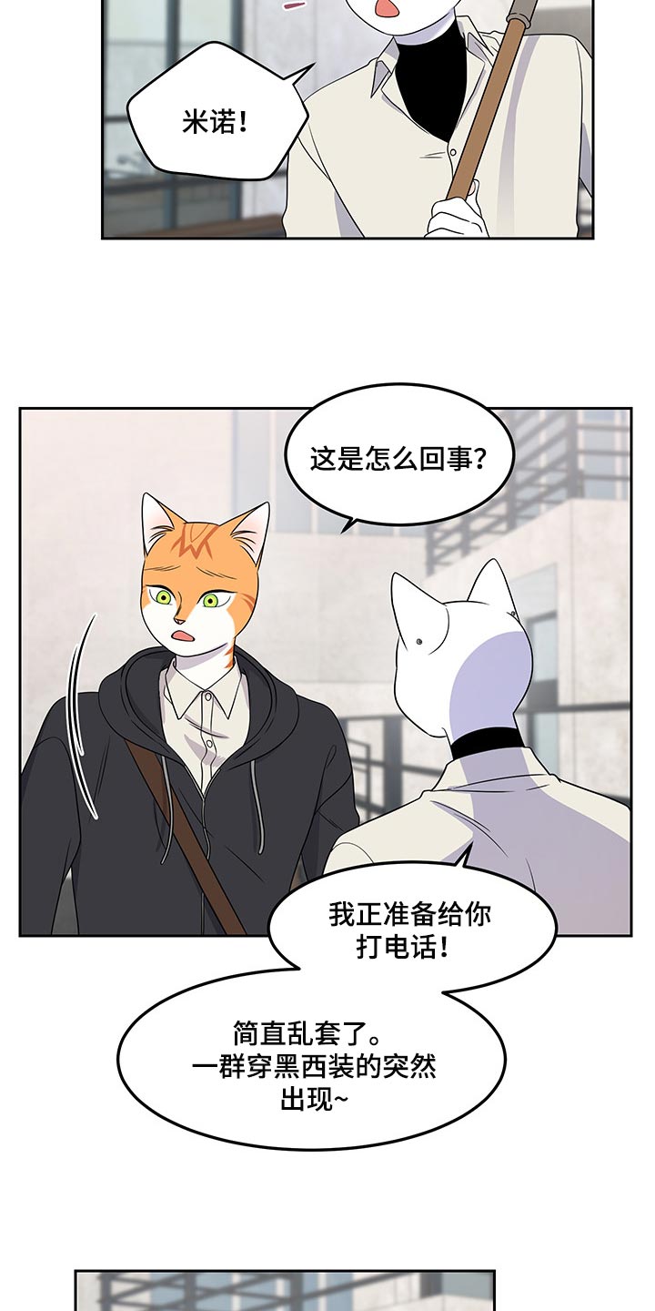 灵猫传陆知也漫画,第43章：世道不太平1图