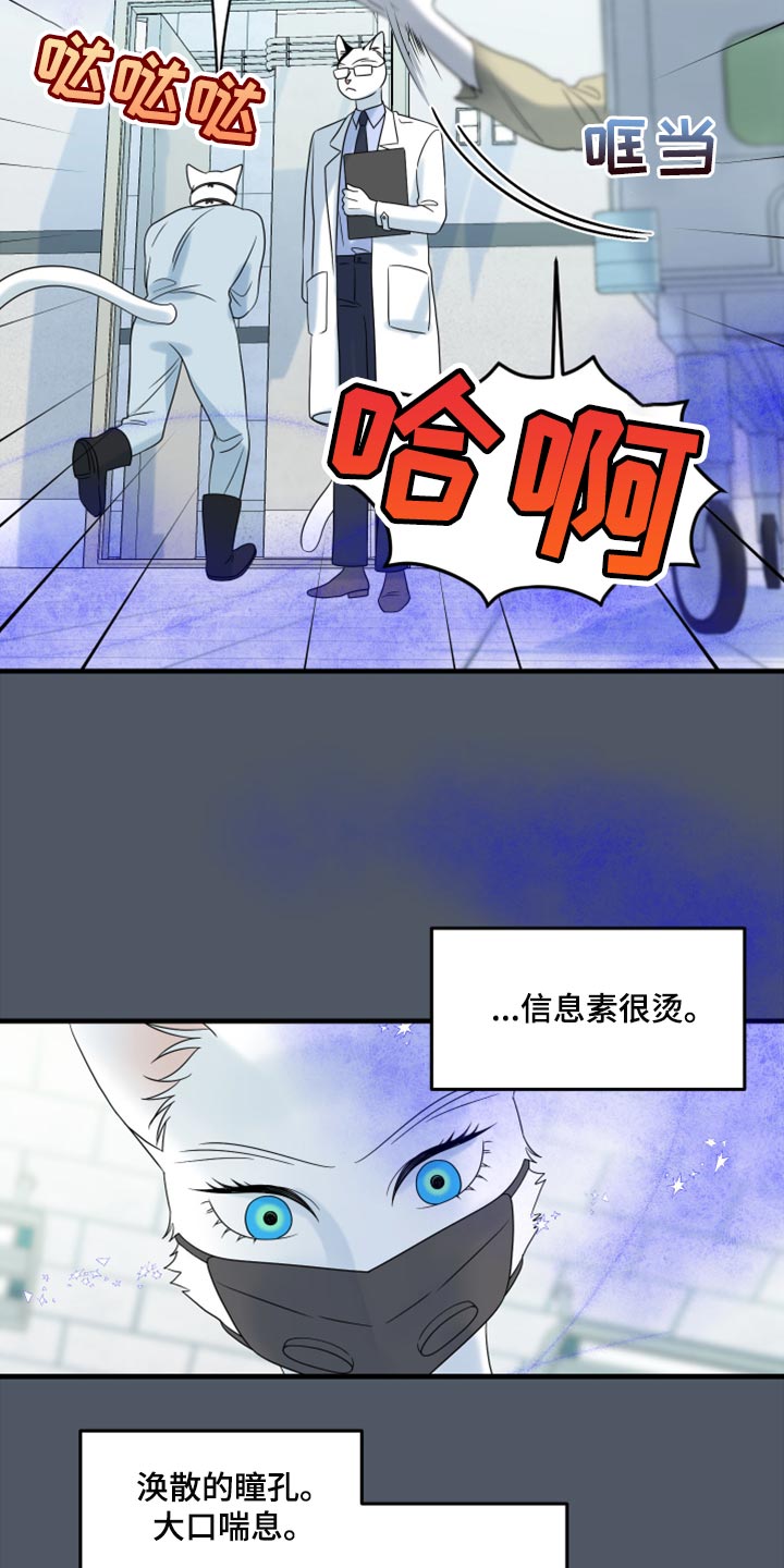 灵猫欧米伽视频漫画,第85章：【第二季】失控2图