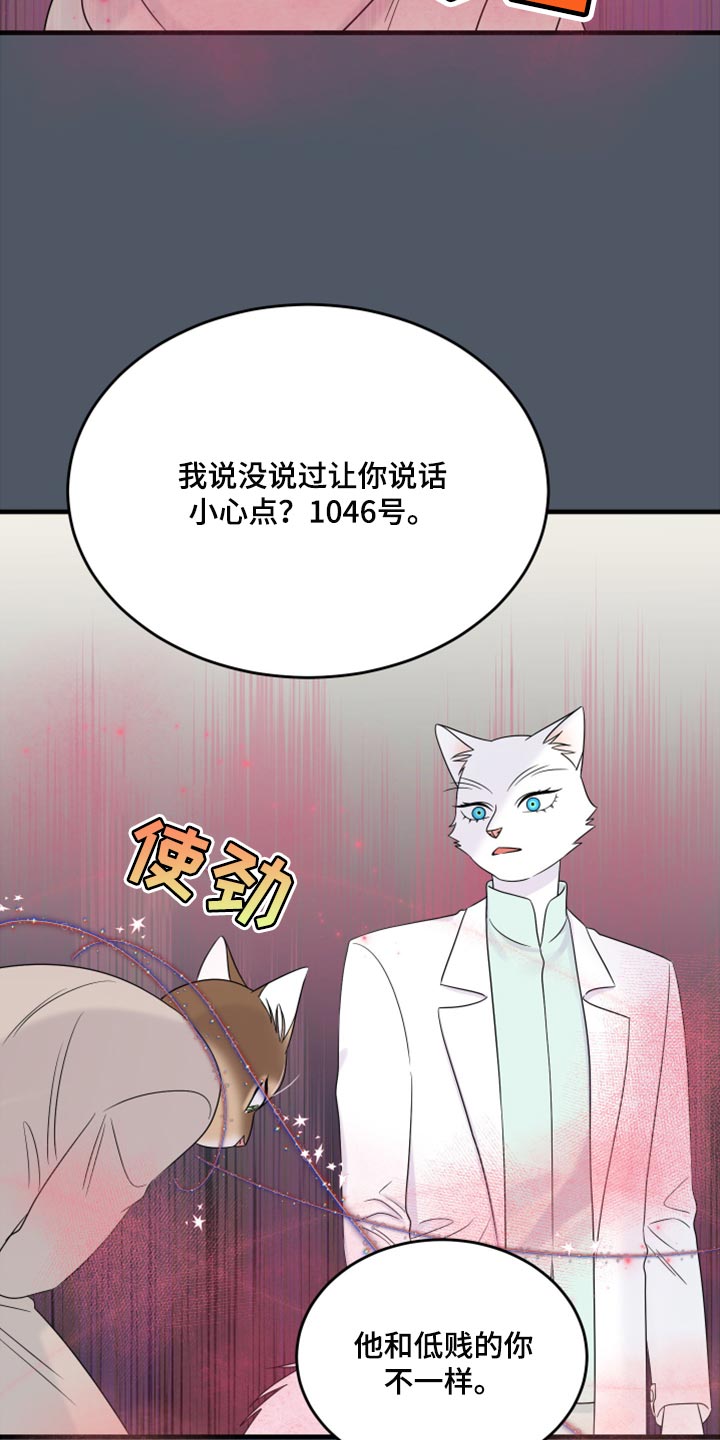 欧米伽3对猫的作用漫画,第86章：【第二季】忍耐2图