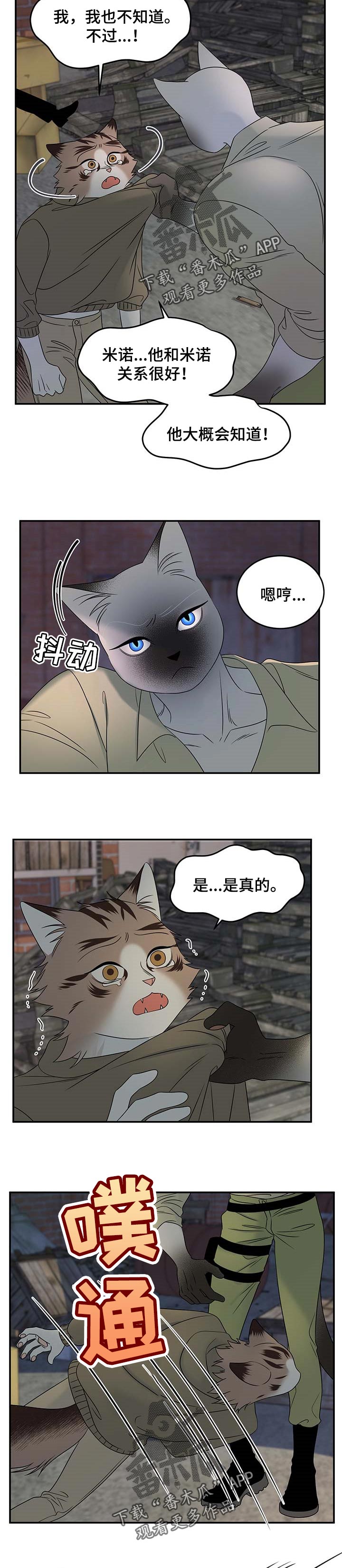 灵猫传歌曲漫画,第31章：叫他出来2图