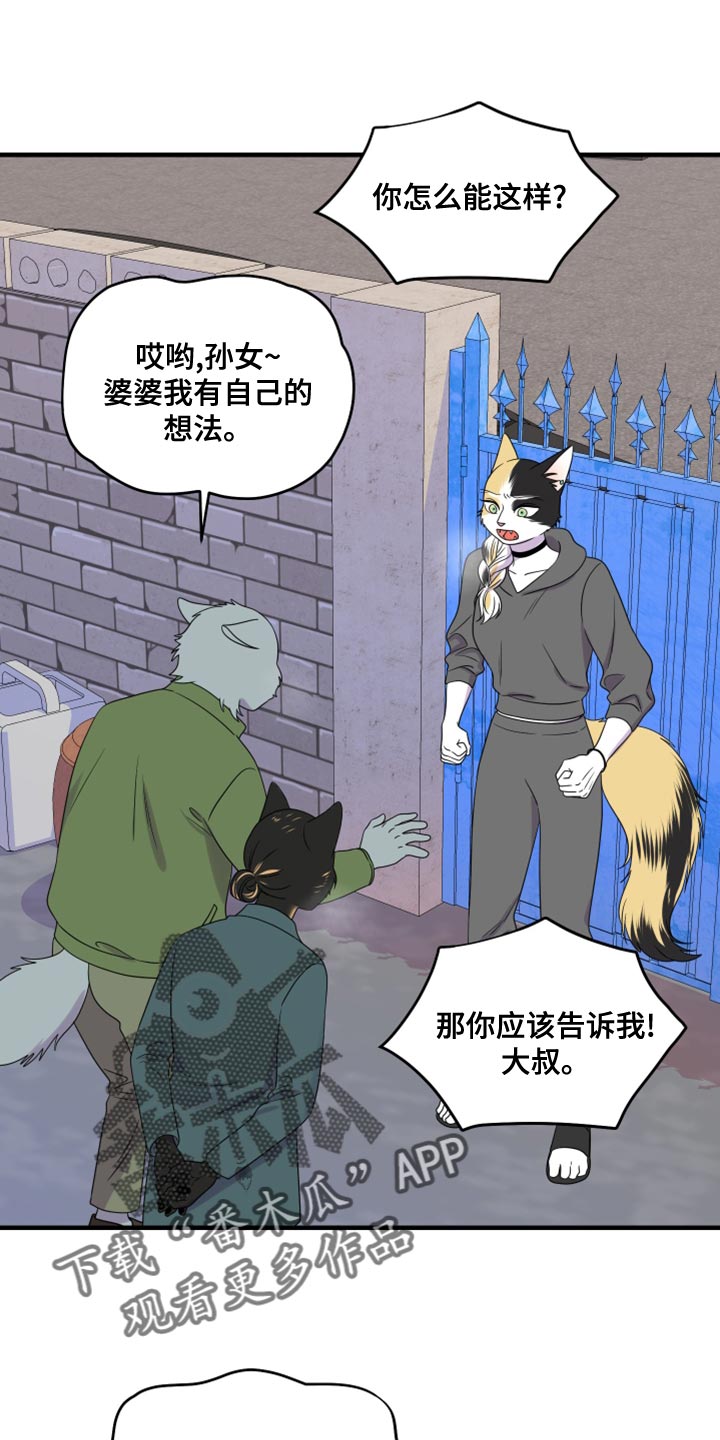 灵猫欧米伽第三季156章漫画,第102章：【第二季】不想困着你1图