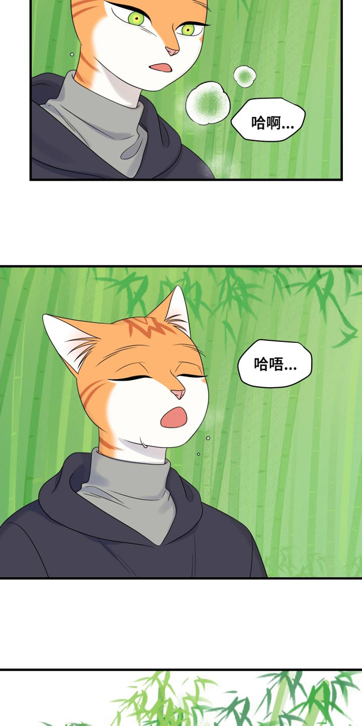灵猫欧米伽漫画,第98章：【第二季】想回去2图